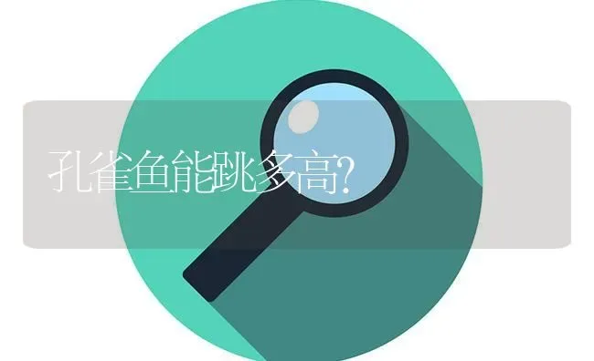 孔雀鱼能跳多高？ | 鱼类宠物饲养