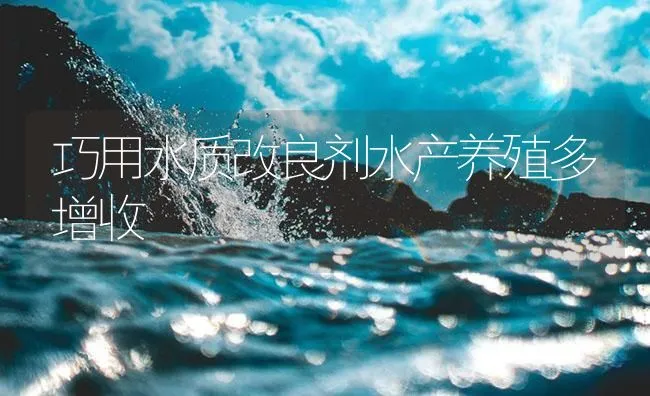 鱼台县发布春季水产养殖技术要点 | 海水养殖技术