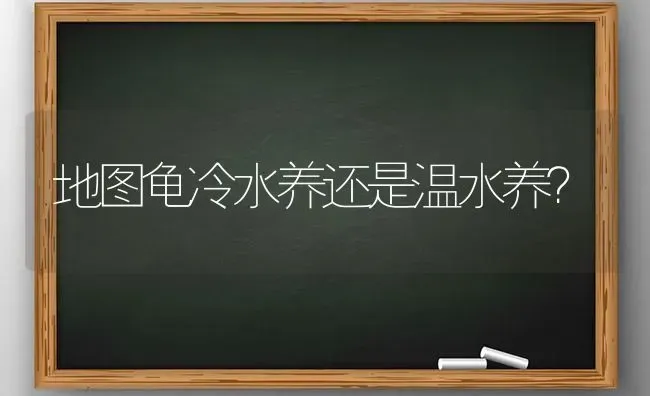 地图龟冷水养还是温水养？ | 动物养殖问答