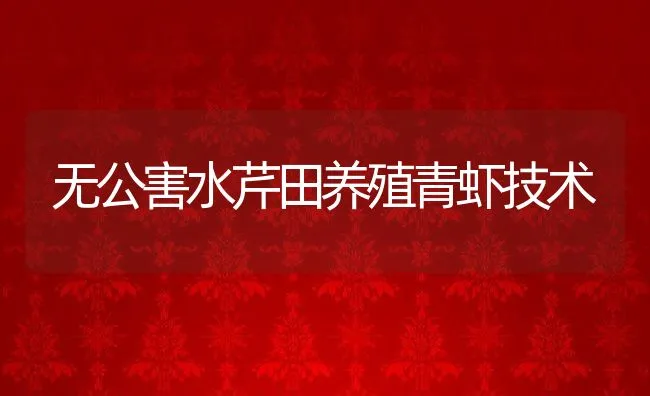 无公害水芹田养殖青虾技术 | 动物养殖饲料