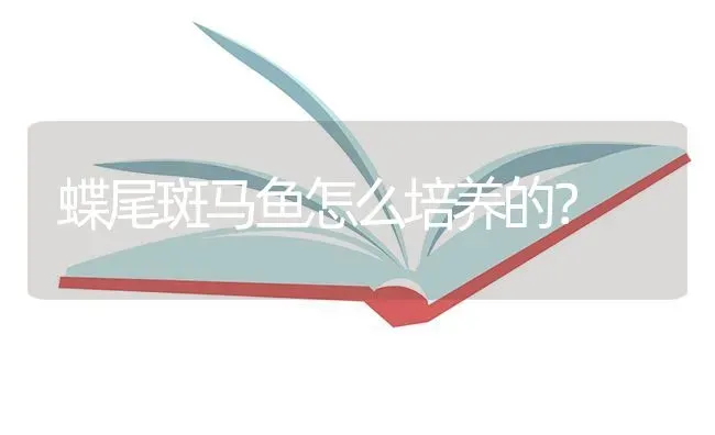 蝶尾斑马鱼怎么培养的？ | 鱼类宠物饲养