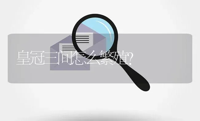 皇冠三间怎么繁殖？ | 鱼类宠物饲养