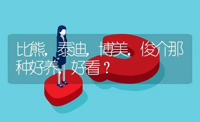 比熊，泰迪，博美，俊介那种好养，好看？ | 动物养殖问答