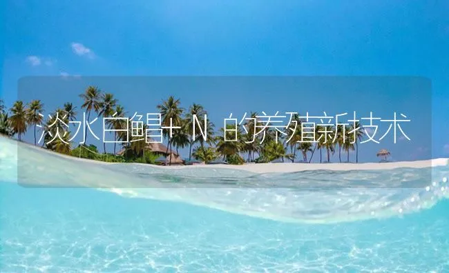 淡水白鲳+N的养殖新技术 | 海水养殖技术