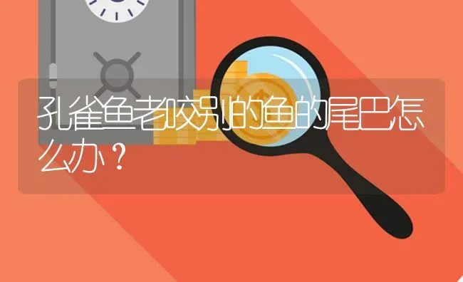 孔雀鱼老咬别的鱼的尾巴怎么办？ | 鱼类宠物饲养