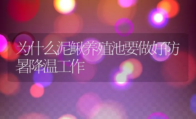 鹌鹑不同生长时段的饲养管理技术要点 | 动物养殖学堂