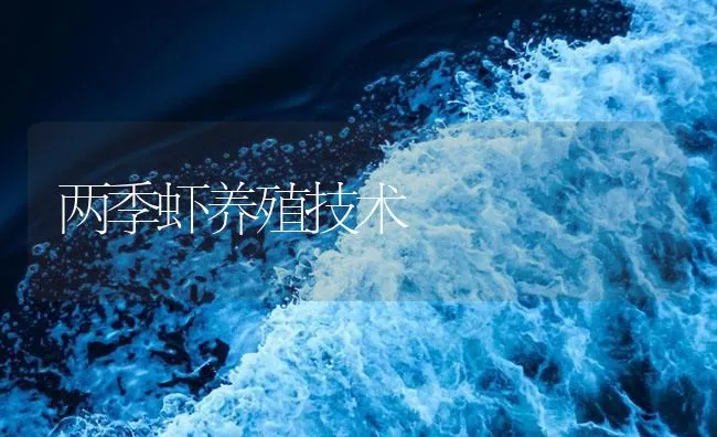 两季虾养殖技术 | 海水养殖技术