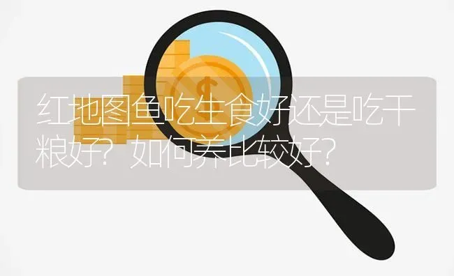 红地图鱼吃生食好还是吃干粮好?如何养比较好？ | 鱼类宠物饲养