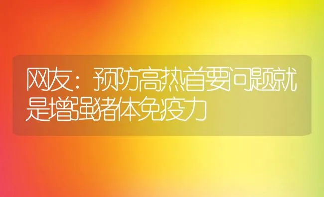 网友：预防高热首要问题就是增强猪体免疫力 | 动物养殖学堂