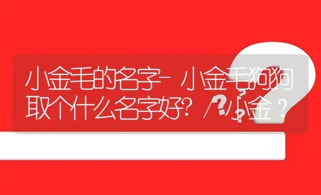 小金毛的名字-小金毛狗狗取个什么名字好?/小金？ | 动物养殖问答