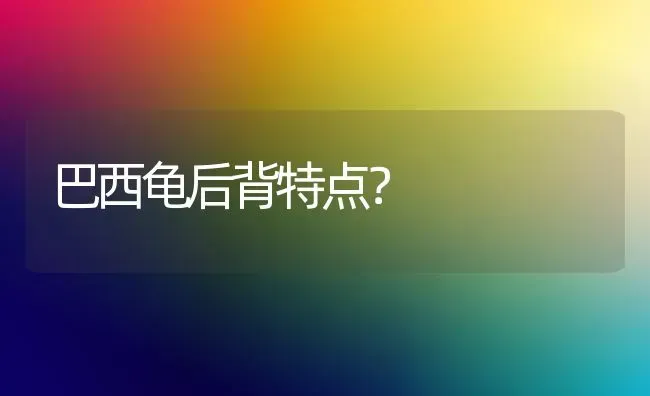 巴西龟后背特点？ | 动物养殖问答