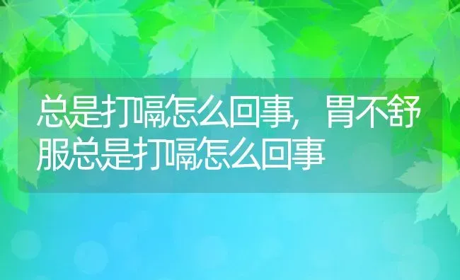 总是打嗝怎么回事,胃不舒服总是打嗝怎么回事 | 宠物百科知识