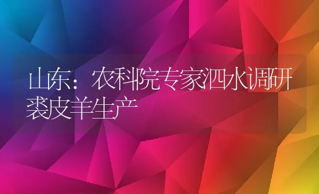 山东：农科院专家泗水调研裘皮羊生产 | 动物养殖饲料