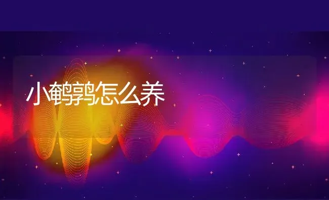 小鹌鹑怎么养 | 动物养殖百科