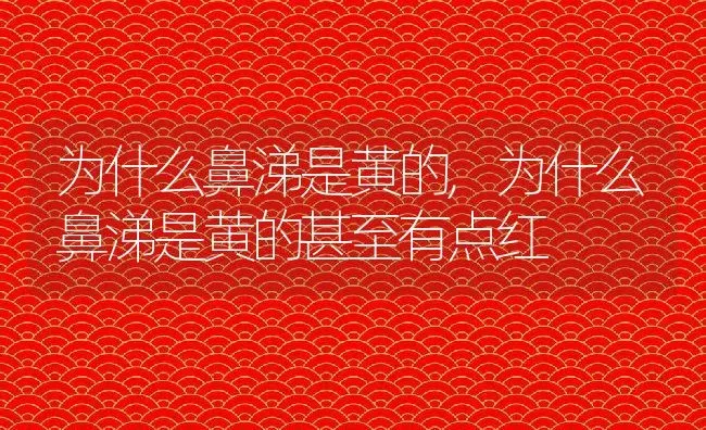 为什么鼻涕是黄的,为什么鼻涕是黄的甚至有点红 | 宠物百科知识