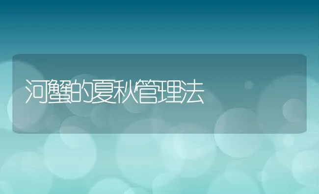 鱼类常用的八种添加剂 | 海水养殖技术