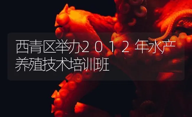 西青区举办2012年水产养殖技术培训班 | 海水养殖技术