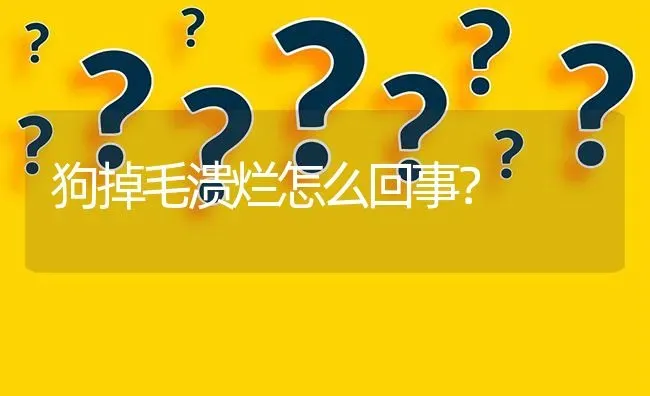 狗掉毛溃烂怎么回事？ | 动物养殖问答