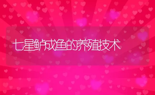 七星鲈成鱼的养殖技术 | 动物养殖饲料