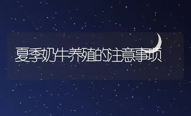 夏季奶牛养殖的注意事项 | 家畜养殖技术