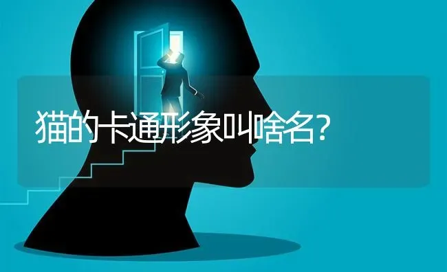 猫的卡通形象叫啥名？ | 动物养殖问答