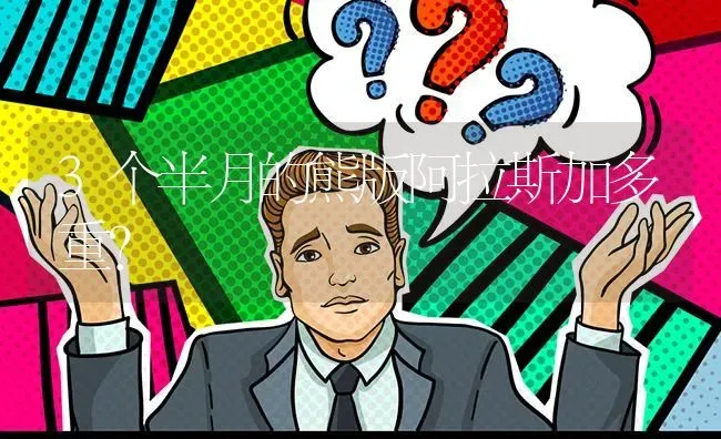 3个半月的熊版阿拉斯加多重？ | 动物养殖问答