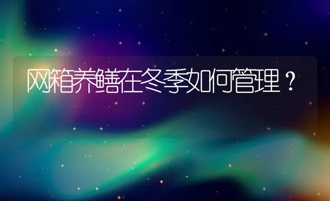 网箱养鳝在冬季如何管理？ | 动物养殖学堂