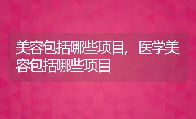 美容包括哪些项目,医学美容包括哪些项目 | 宠物百科知识