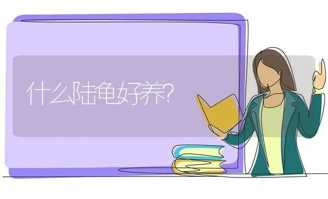 什么陆龟好养？ | 动物养殖问答