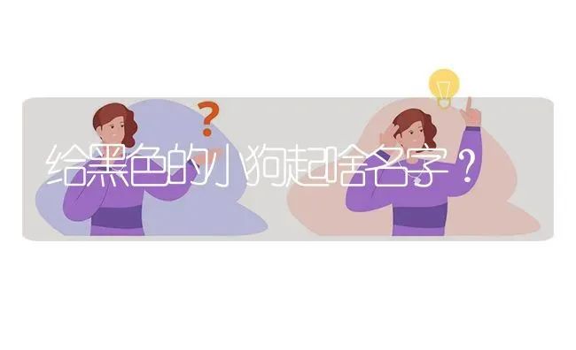 给黑色的小狗起啥名字？ | 动物养殖问答