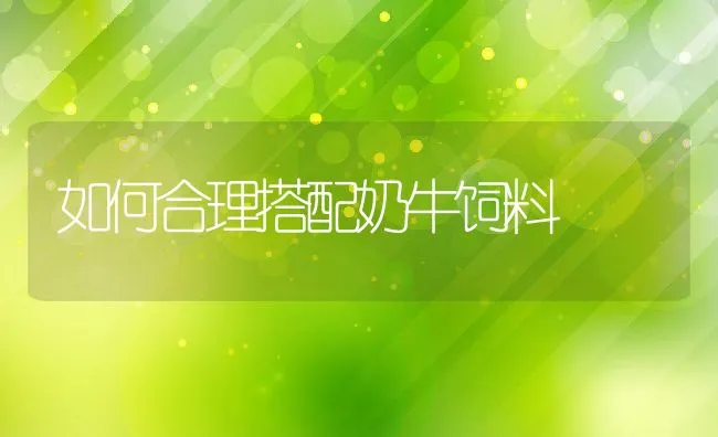 常见用药误区及正确的用药方法 | 动物养殖学堂