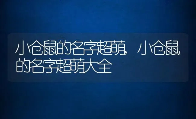 小仓鼠的名字超萌,小仓鼠的名字超萌大全 | 宠物百科知识