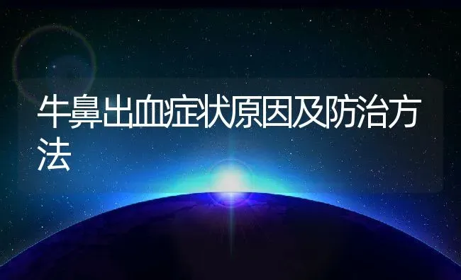 牛鼻出血症状原因及防治方法 | 动物养殖教程