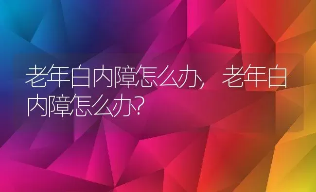 老年白内障怎么办,老年白内障怎么办? | 宠物百科知识