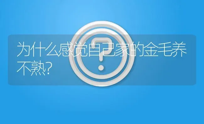 为什么感觉自己家的金毛养不熟？ | 动物养殖问答