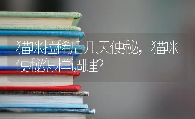 体重十斤以内的小狗是什么狗？ | 动物养殖问答