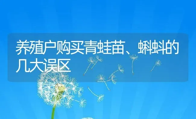 养殖户购买青蛙苗、蝌蚪的几大误区 | 动物养殖百科