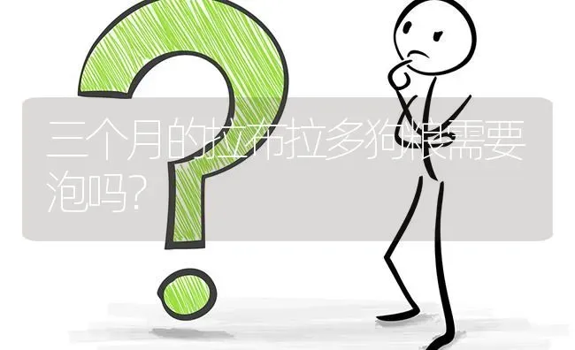 三个月的拉布拉多狗粮需要泡吗？ | 动物养殖问答