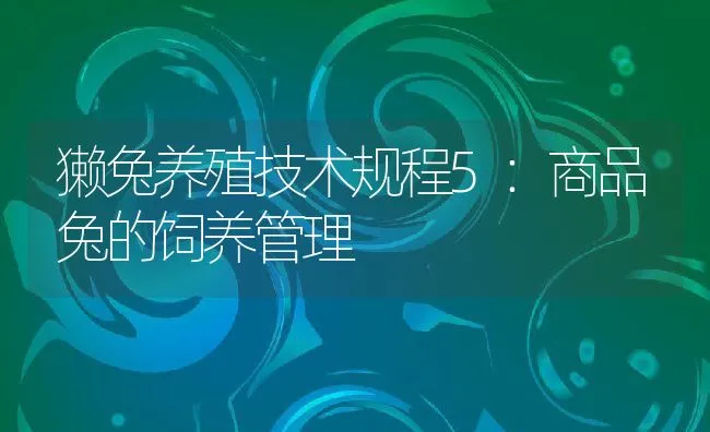 仔猪断奶要把握好三点 | 动物养殖学堂