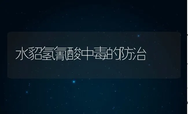 利用秋闲鱼池速养青虾 | 海水养殖技术