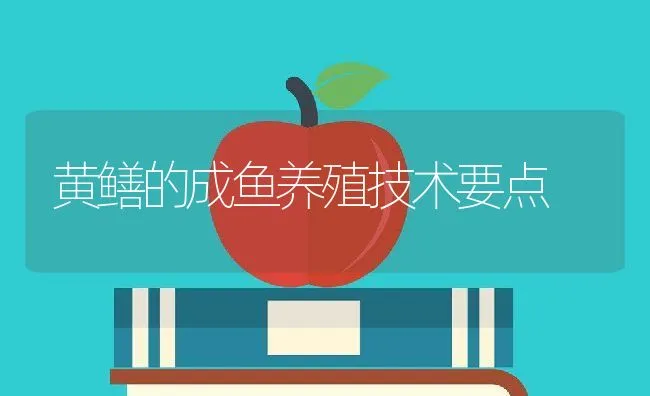 散养笨鸡技术要点 | 动物养殖学堂