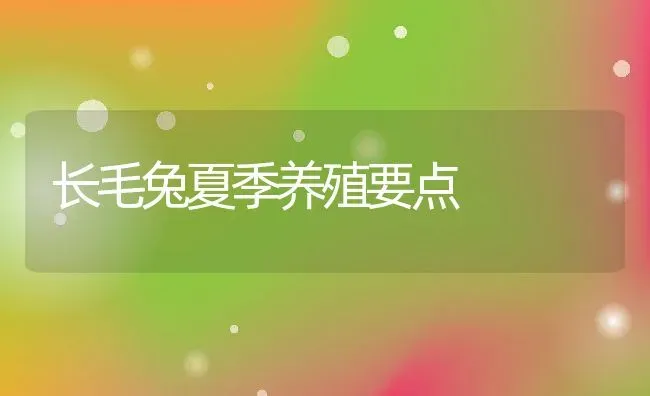 长毛兔夏季养殖要点 | 动物养殖教程