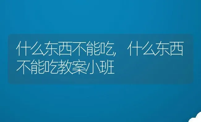 什么东西不能吃,什么东西不能吃教案小班 | 宠物百科知识