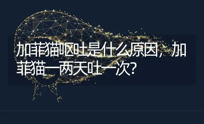 加菲猫呕吐是什么原因，加菲猫一两天吐一次？ | 动物养殖问答