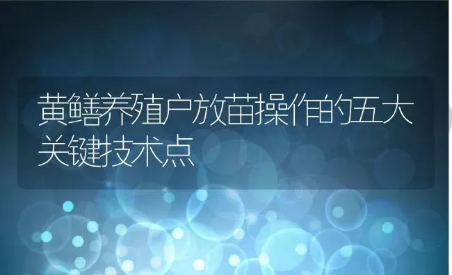 黄鳝养殖户放苗操作的五大关键技术点 | 动物养殖教程