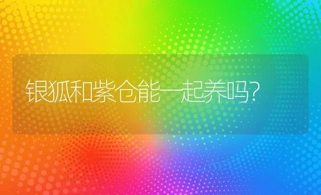 银狐和紫仓能一起养吗？ | 动物养殖问答