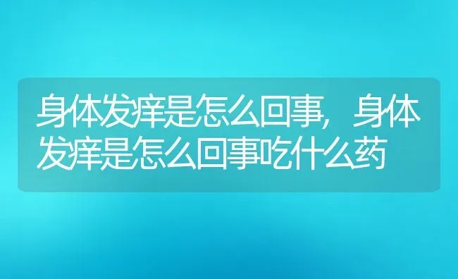 身体发痒是怎么回事,身体发痒是怎么回事吃什么药 | 宠物百科知识