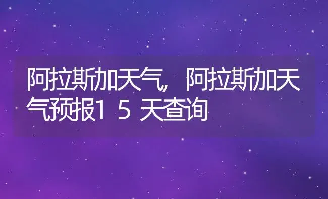 阿拉斯加天气,阿拉斯加天气预报15天查询 | 宠物百科知识