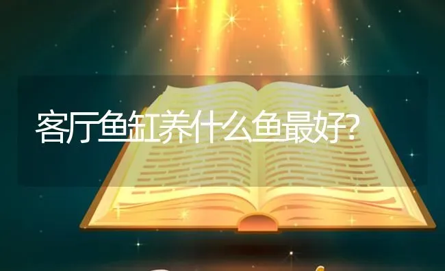 客厅鱼缸养什么鱼最好？ | 鱼类宠物饲养