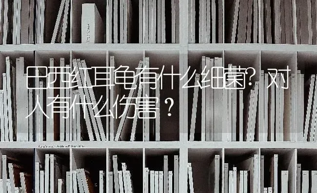 巴西红耳龟有什么细菌?对人有什么伤害？ | 动物养殖问答